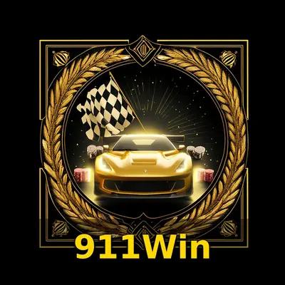 Logo 911Win