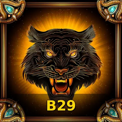 Logo B29